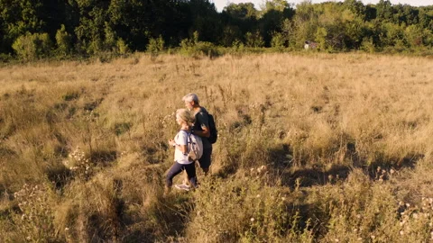 Mid-shot front view of cheerful group of coworkers reviewing details of Stock Footage 278019184