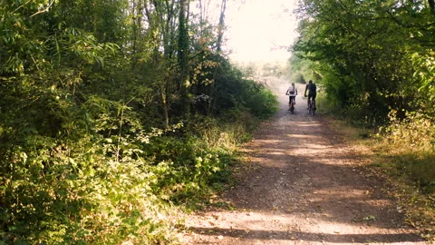 Mid-shot front view of cheerful group of coworkers reviewing details of Stock Footage 278019721