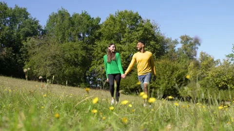 Mid-shot front view of cheerful group of coworkers going over details of new Stock Footage 278021460