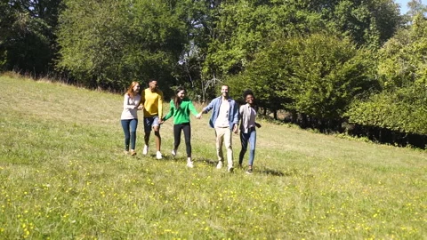 Mid-shot front view of cheerful group of coworkers going over details of new Stock Footage 278021510