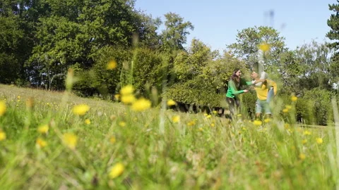 Mid-shot front view of cheerful group of coworkers going over details of new Stock Footage 278021608