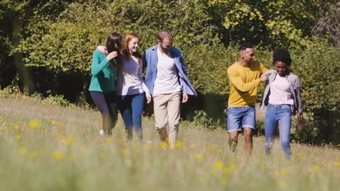 Mid-shot front view of cheerful group of coworkers going over details of new Stock Footage 278021808