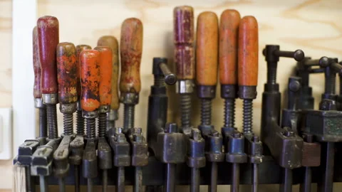 Mid-shot front view of diverse group of coworkers exchanging ideas and Stock Footage 278014945