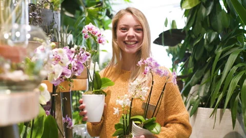 Mid-shot front view of diverse group of coworkers exchanging ideas and Stock Footage 278015095