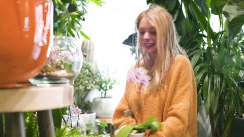 Mid-shot front view of diverse group of coworkers exchanging ideas and Stock Footage 278015116