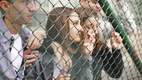 Mid-shot front view of diverse group of coworkers exchanging ideas and Stock Footage 278016072