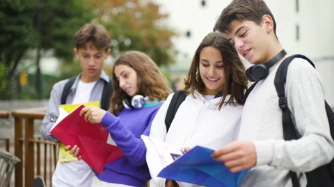Mid-shot front view of diverse group of colleagues sharing ideas while working Stock Footage 278016291