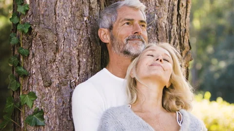 Mid-shot front view of diverse group of colleagues sharing ideas while working Stock Footage 278017270