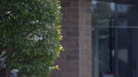 Mid shot of lady walking with clothes washing basket  using her iPhone Stock Footage 65438462
