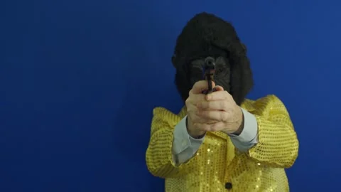 Mid-shot. A man wearing a gorilla mask pointing a gun (5) Stock Footage 336174531