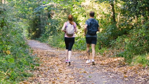 Mid-shot side view of relaxed group of coworkers going over details of marketing Video stock 278024211