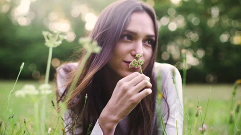 Mid-shot side view of relaxed group of coworkers going over details of marketing Stock Footage 278026208