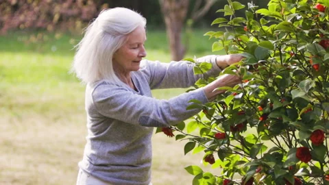 Mid-shot side view of unrecognizable person's hands holding cell phone and Stock Footage 278014619