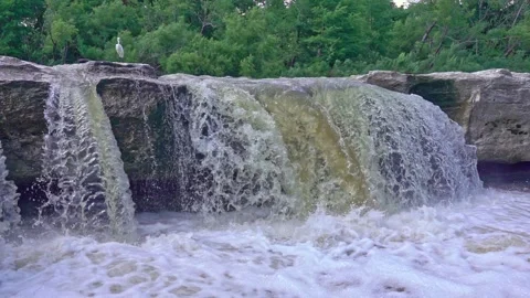 Mid sized waterfall flowing over rocky outcrop with egret standing on top Stock Footage 142400805