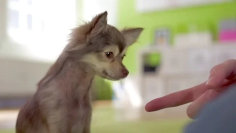 Mid of training with praise Stock Footage 77589693