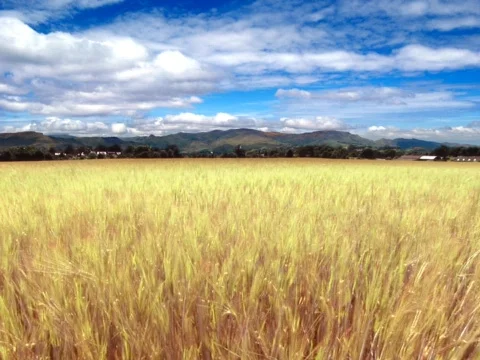 Mid-West Stock Footage 490133