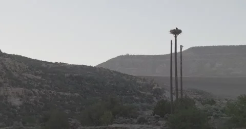 Mid wide shot of dam road with morning traffic in San Juan River canyon Stock Footage 336220467