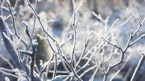 Mid-winter frost, Castle Bottom, Hampshire, UK Stock Footage 48487564
