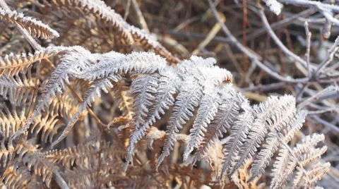 Mid-winter frost, Castle Bottom, Hampshire, UK Stock Footage 48487628