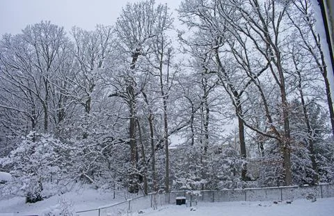 Mid Winter Snow-Covered Backyard -01 Stock Photos