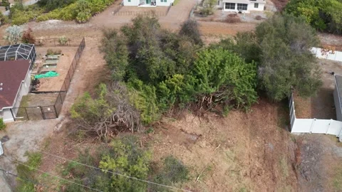 Midday Drone View of Lot with Vegetation Amidst Residential Structures Stock-Footage 333939360