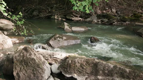 Midday Stream Current Breaking Around Large Stones in Forest Gully Stock Footage 345767208