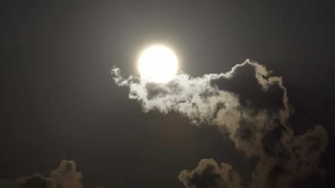 Midday Sun with Dramatic Clouds Passing in front - Real Time Sky Footage Stock Footage 310108895
