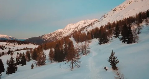 In the middel of Two Trees Stockbeeldmateriaal 126163730