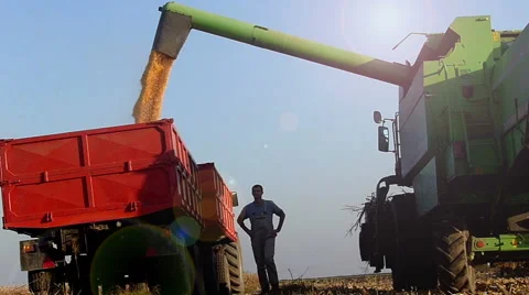 Middle age farmer checking corn storage on trailer Stock Footage 47846195