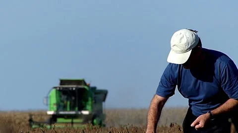 Middle age farmer checking soybeans Stock Footage 47846043