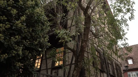Middle age house with tree Stock Footage 100275535