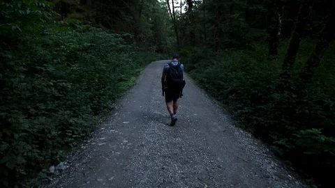A middle age man of Middle Eastern descent on a nature walk through an evergreen Stock Footage 115332455