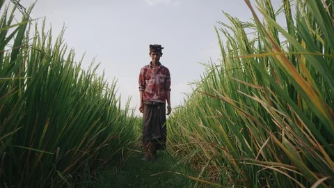 Middle-aged asian man walking across meadow Stock Footage 97189253