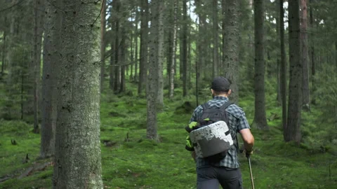 Middle-aged beared hiker man in a plaid shirt with trekking poles walk in green  Video stock 205610221