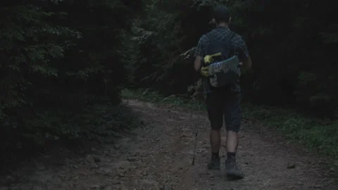 Middle-aged beared hiker man in a plaid shirt with backpack and trekking poles w Stock Footage 208666040