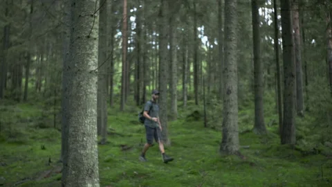 Middle-aged beared hiker man in a plaid shirt with backpack and  trekking poles  Stock Footage 208668216