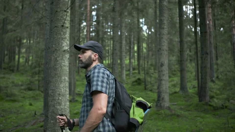 Middle-aged beared hiker man in a plaid shirt with backpack and  trekking poles  Video stock 208670035