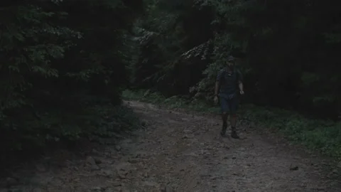 Middle-aged beared hiker man in a plaid shirt with backpack and trekking poles w Stock Footage 208677279