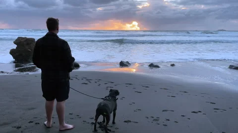 Middle-aged caucasian man and his dog watching the sunset at the beach Stock Footage 279511734