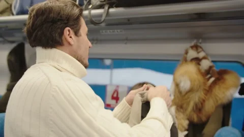 A middle-aged couple hangs their outerwear in their seats in a train carriage Stock Footage 199518778