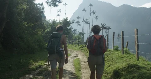 Middle aged couple hiking in tropical mountains with wax palm trees Stock Footage 86151353