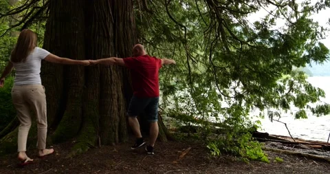 Middle aged couple hugging a tree on the lakeside in Sasquatch Provincial Par Stock Footage 201499100