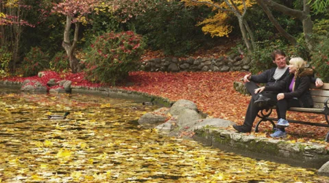 Middle-Aged Couple Sitting on Park Bench 2 Video stock 35324093