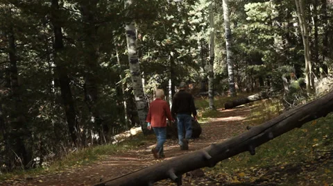 Middle aged hikers walking through a forest Stock Footage 39565573