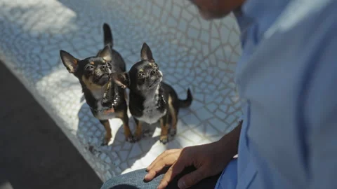 A middle-aged hispanic man sitting outdoors on a patterned bench in an urba.. Stock Footage 282582385