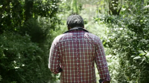Middle aged indian mn walking through jungle from behing Stock Footage 59821502