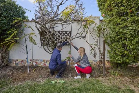 A middle-aged man and his wife work in the garden and do various maintenanc.. Stock Photos