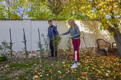 A middle-aged man and his wife work in the garden and do various maintenanc.. Stock Photos
