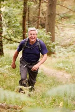 Middle aged man with a backpack hiking in a forest looking at camera, elevate Stock Photos