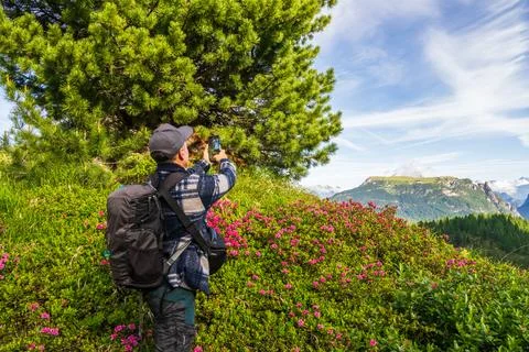 Middle-aged man with backpack taking photos of mountains on smartphone. Dol.. Stock Photos